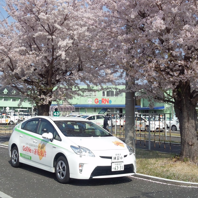 小金井自動車学校